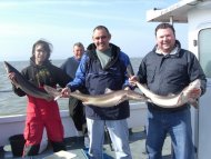 Bristol Channel Spurdog Fishing