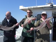 Bristol Channel Spurdog Fishing