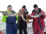 Bristol Channel Spurdog Fishing