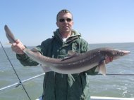 Bristol Channel Spurdog Fishing