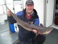Bristol Channel Spurdog Fishing