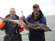 Bristol Channel Spurdog Fishing