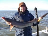 Bristol Channel Spurdog Fishing