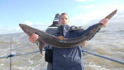 Bristol Channel Spurdog Fishing