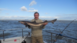 Bristol Channel Spurdog Fishing