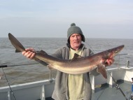 Bristol Channel Spurdog Fishing