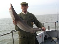 Bristol Channel Spurdog Fishing