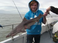 Bristol Channel Spurdog Fishing
