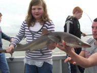 Bristol Channel Spurdog Fishing