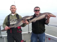 Bristol Channel Spurdog Fishing