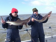 Bristol Channel Spurdog Fishing