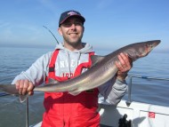 Bristol Channel Spurdog Fishing