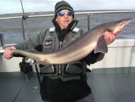 Bristol Channel Spurdog Fishing