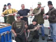 Bristol Channel Spurdog Fishing