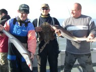 Bristol Channel Spurdog Fishing