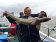 Starry Smoothhound fishing in the Bristol Channel