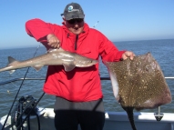 Starry Smoothhound fishing in the Bristol Channel
