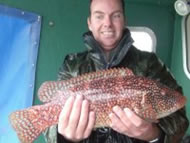 Wrasse fishing in the Bristol Channel