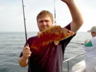 Wrasse fishing in the Bristol Channel