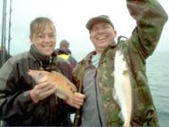 Wrasse fishing in the Bristol Channel