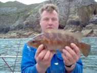 Wrasse fishing in the Bristol Channel