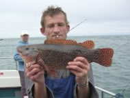 Wrasse fishing in the Bristol Channel