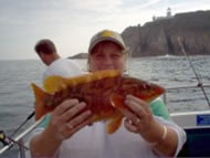 Wrasse fishing in the Bristol Channel