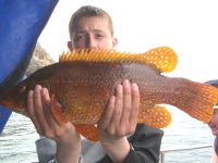 Wrasse fishing in the Bristol Channel