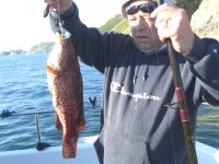 Wrasse fishing in the Bristol Channel