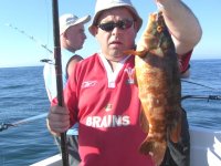Wrasse fishing in the Bristol Channel