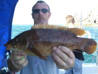 Wrasse fishing in the Bristol Channel