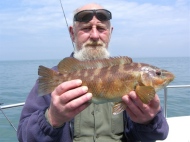 Wrasse fishing in the Bristol Channel