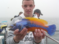 Wrasse fishing in the Bristol Channel