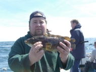 Wrasse fishing in the Bristol Channel