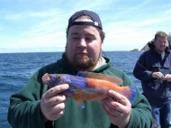 Wrasse fishing in the Bristol Channel