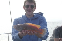 Wrasse fishing in the Bristol Channel