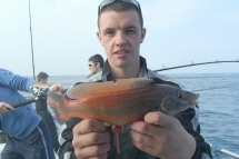 Wrasse fishing in the Bristol Channel