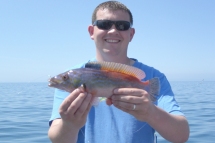 Wrasse fishing in the Bristol Channel