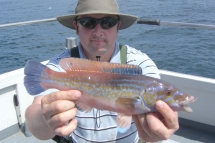 Wrasse fishing in the Bristol Channel