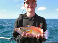 Wrasse fishing in the Bristol Channel