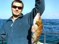 Wrasse fishing in the Bristol Channel