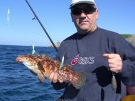 Wrasse fishing in the Bristol Channel
