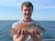 Wrasse fishing in the Bristol Channel