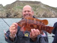 Wrasse fishing in the Bristol Channel